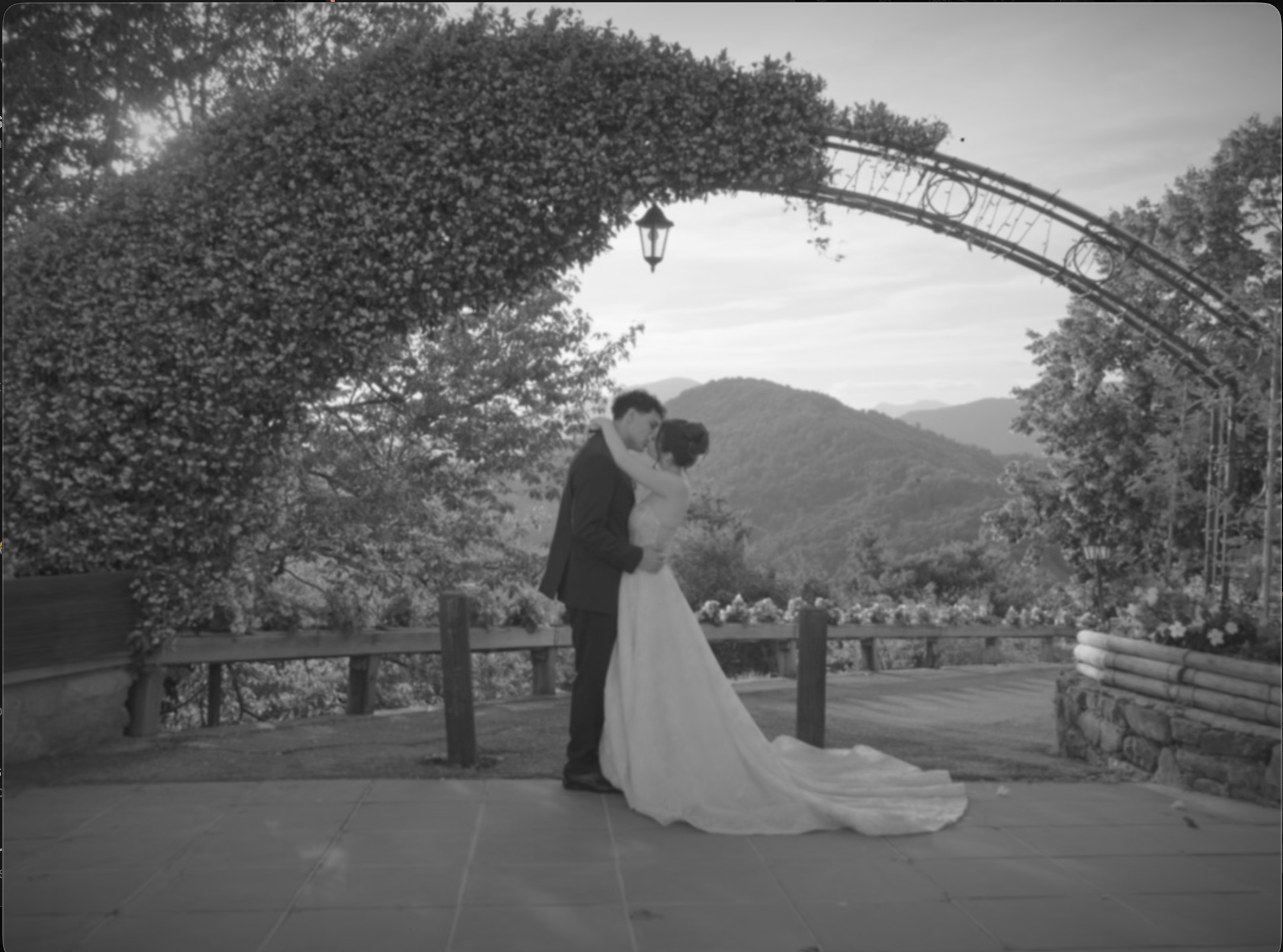 Wedding Social Reels